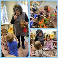 �����������